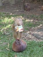 post-85853-0-84169400-1368959176_thumb.j