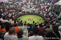 post-9891-0-53315900-1369058726_thumb.jp