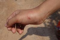 post-101742-0-48226500-1400376366_thumb.