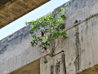 post-12069-0-08236000-1401507825_thumb.j