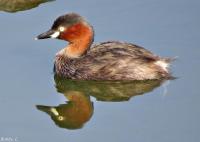 post-12069-0-27214800-1401421955_thumb.j