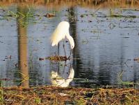 post-12069-0-90899000-1401008945_thumb.j