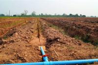 post-140056-0-81740500-1401576795_thumb.