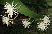 post-146250-0-24095000-1400156815_thumb.