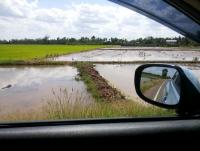 post-175700-0-25344400-1399800457_thumb.