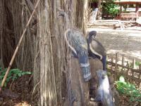 post-175700-0-40427500-1400919778_thumb.