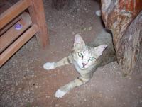 post-175700-0-45781600-1399881247_thumb.