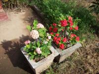 post-175700-0-64919500-1400295810_thumb.