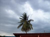 post-175700-0-67851500-1400205515_thumb.