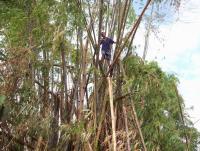 post-175700-0-71625100-1401071680_thumb.