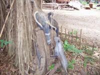 post-175700-0-74127200-1400919730_thumb.