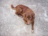 post-175700-0-86125300-1399690332_thumb.