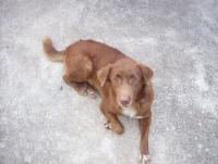 post-175700-0-88117100-1399690280_thumb.