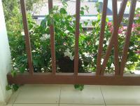 post-17753-0-76771500-1400053355_thumb.j