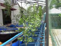 post-184243-0-59127100-1399357921_thumb.