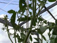 post-184243-0-68710800-1399357885_thumb.