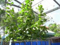 post-184243-0-90292200-1399357765_thumb.