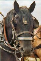 post-184955-0-70029100-1399179677_thumb.