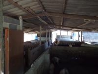 post-32351-0-16477300-1399522244_thumb.j