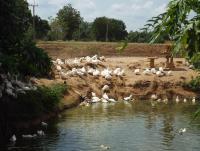 post-32351-0-20212200-1399698569_thumb.j