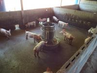 post-32351-0-33237600-1399522303_thumb.j