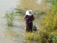 post-32351-0-33297200-1399609742_thumb.j