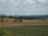 post-32351-0-40367600-1399698950_thumb.j