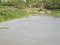 post-32351-0-50182200-1399635886_thumb.j