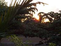 post-32351-0-57952400-1399635804_thumb.j