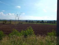 post-32351-0-62408400-1399609784_thumb.j