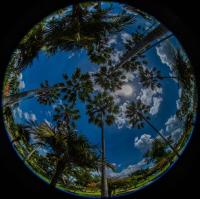 post-40226-0-11927700-1400210895_thumb.j