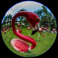 post-40226-0-43967400-1400210677_thumb.j