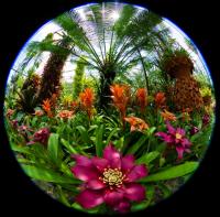 post-40226-0-68354800-1400210324_thumb.j