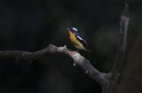 post-61254-0-79416200-1401523548_thumb.j