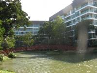 post-64884-0-62948600-1398938409_thumb.j