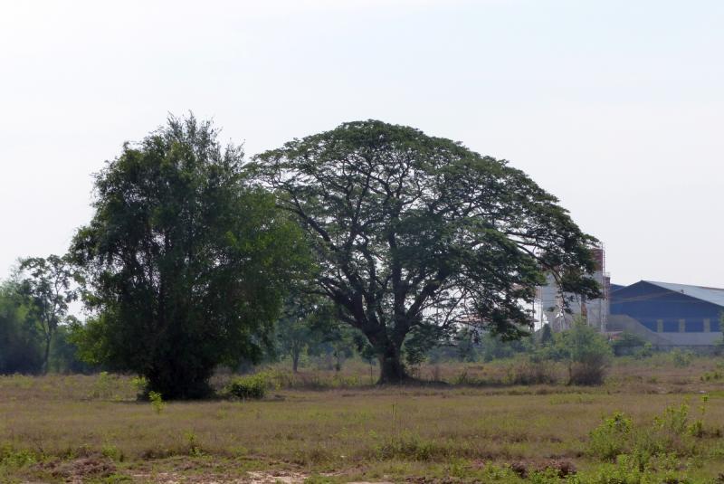 post-102759-0-50531900-1430612665_thumb.