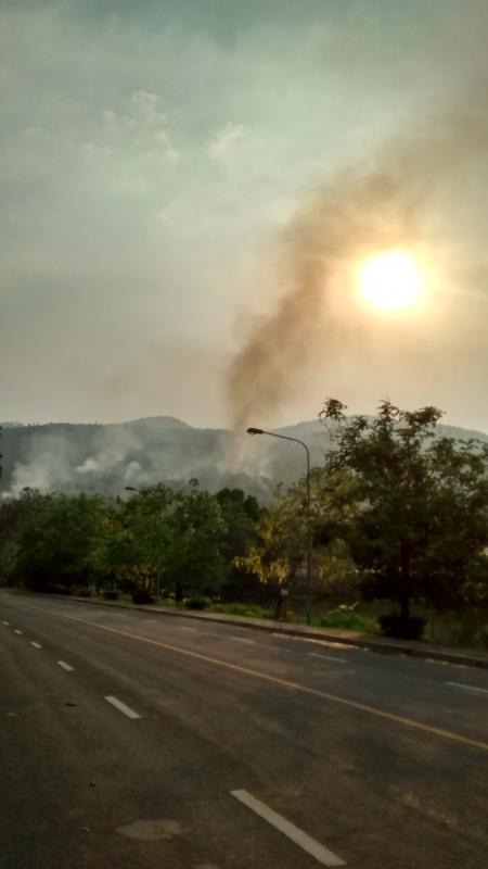 post-113867-0-70065400-1431280150_thumb.