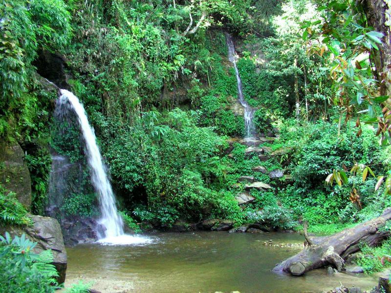 post-119985-0-03463100-1432338694_thumb.