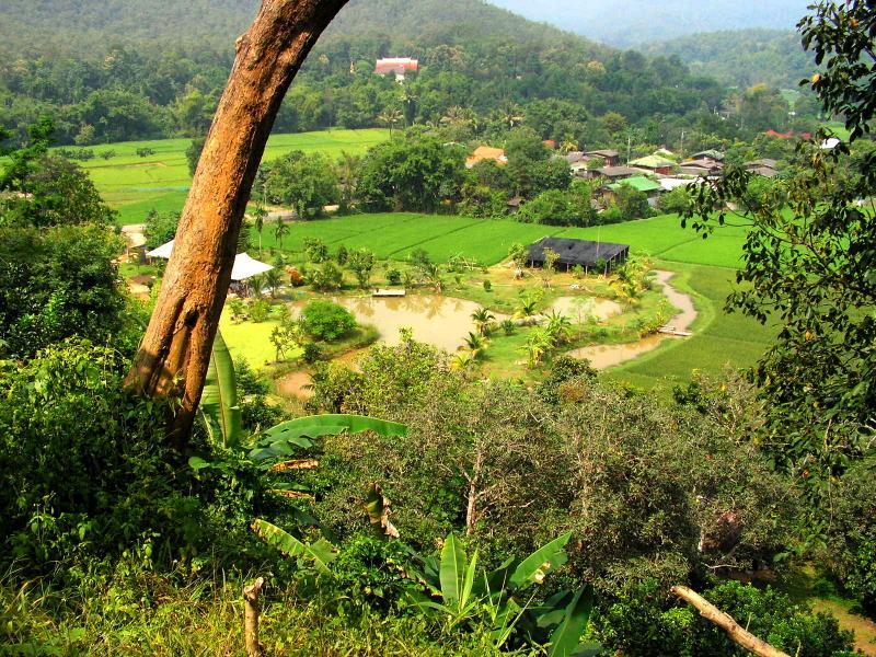 post-119985-0-03795500-1432535062_thumb.