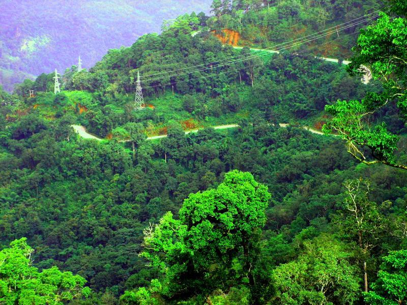 post-119985-0-36469900-1432427340_thumb.