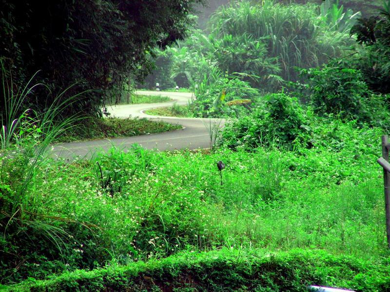 post-119985-0-47500900-1432427230_thumb.