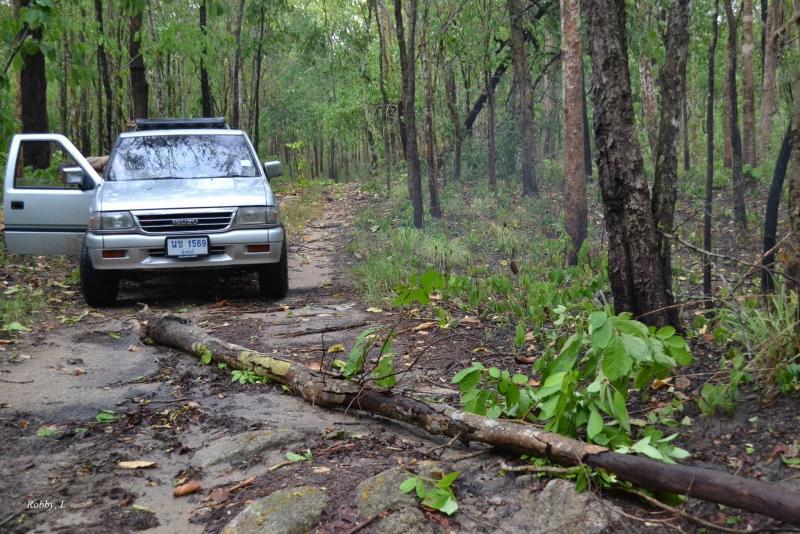 post-12069-0-26064300-1431672043_thumb.j