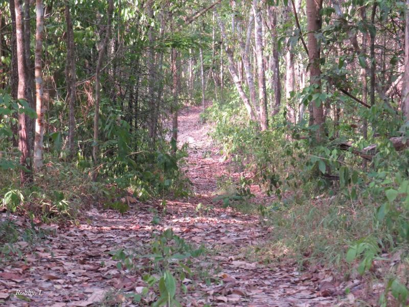 post-12069-0-36395300-1431671183_thumb.j