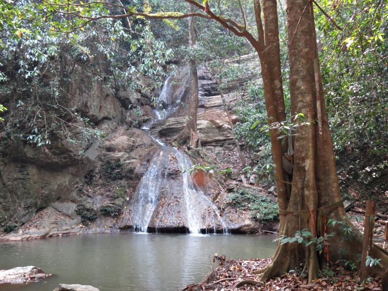 post-12069-0-60026700-1432295309_thumb.j