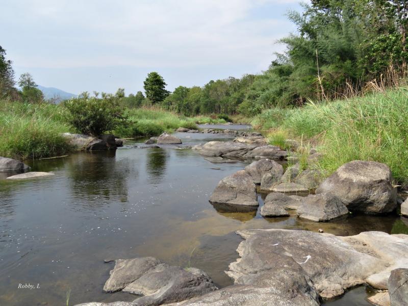 post-12069-0-64597100-1431570052_thumb.j