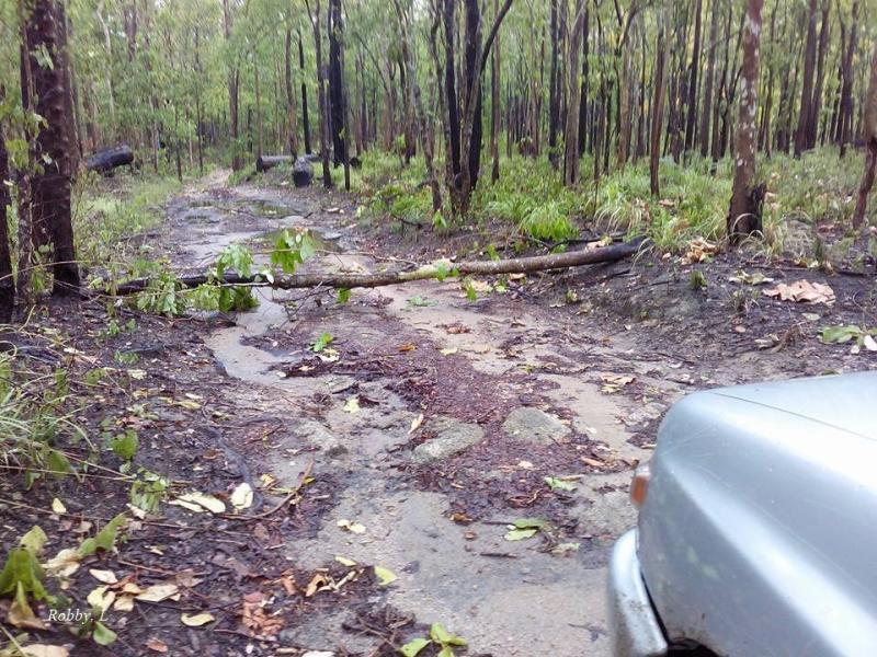 post-12069-0-81259900-1431671990_thumb.j