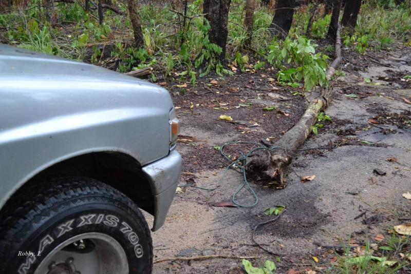 post-12069-0-84526000-1431672119_thumb.j