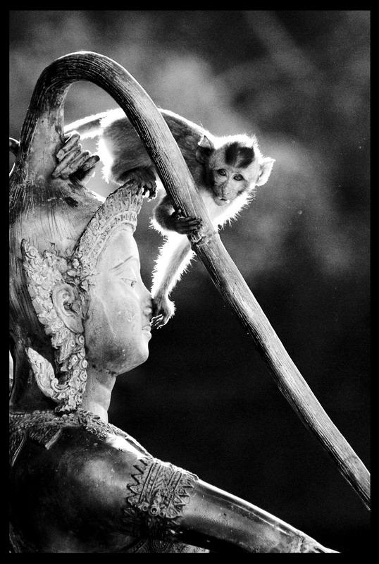 post-143678-0-27802200-1431318924_thumb.