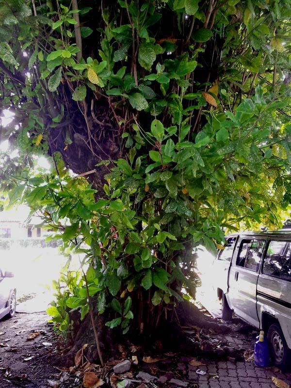 post-146250-0-31941800-1431086424_thumb.