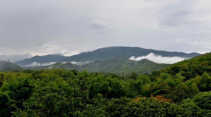 post-21832-0-47634700-1432377024_thumb.j